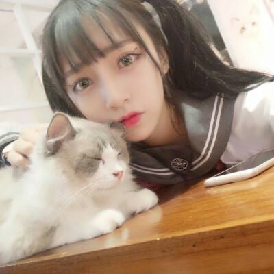 失落的古墓最新版下载